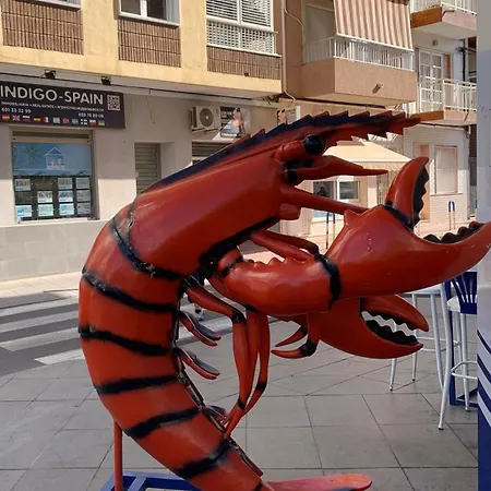 Princesa Blanka By Zanis Torrevieja